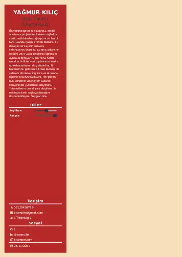 Okul Öncesi Öğretmeni Öğretmenliği Cv Örnekleri cv indir